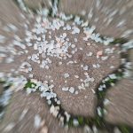 Winter Streusalz Sicherheit Stadtwerke