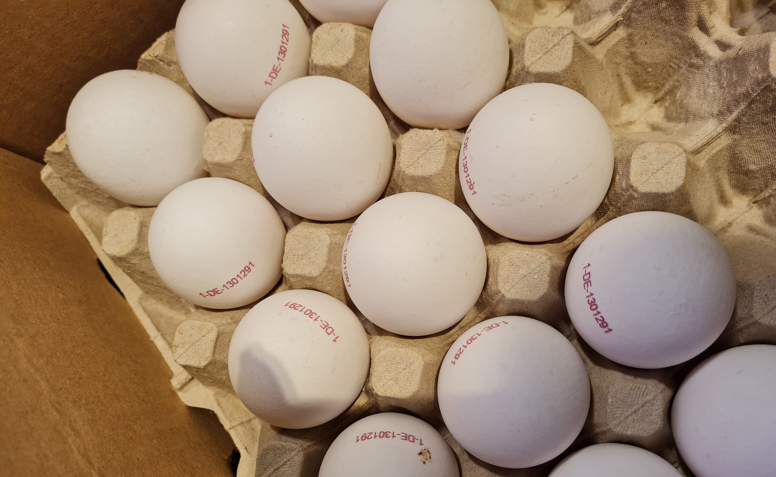 Sachsen-Anhalt-verf-gt-ber-25-Betriebe-mit-Legehennenhaltung