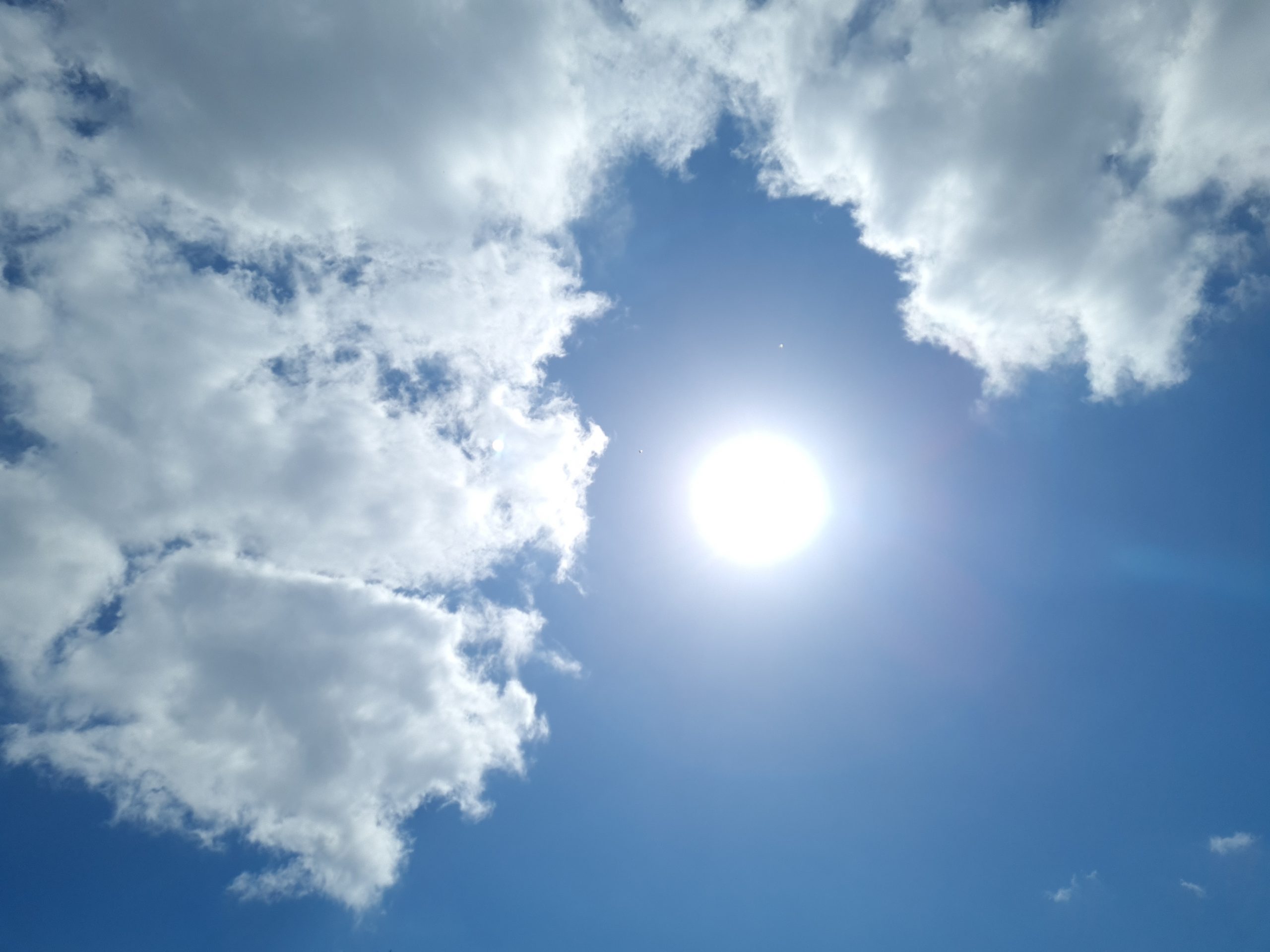 Sachsen-Anhalt-war-2025-das-niederschlags-rmste-Bundesland