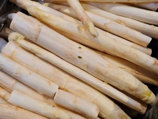 Spargel