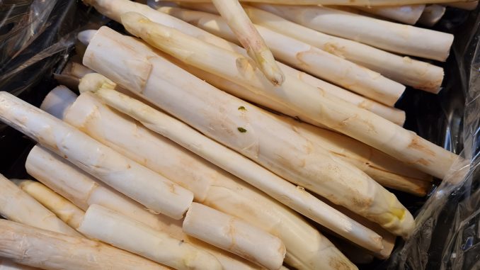 Spargel