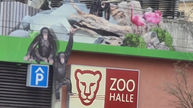 Zoo Halle