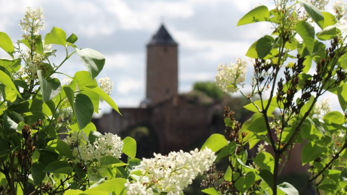 Burg Giebichenstein
