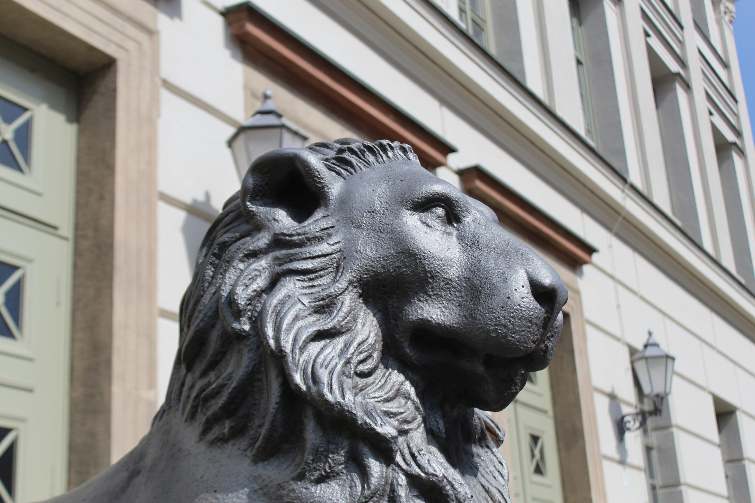 Forschende-der-MLU-schalten-sch-dliche-Proteine-in-Tumorzellen-aus