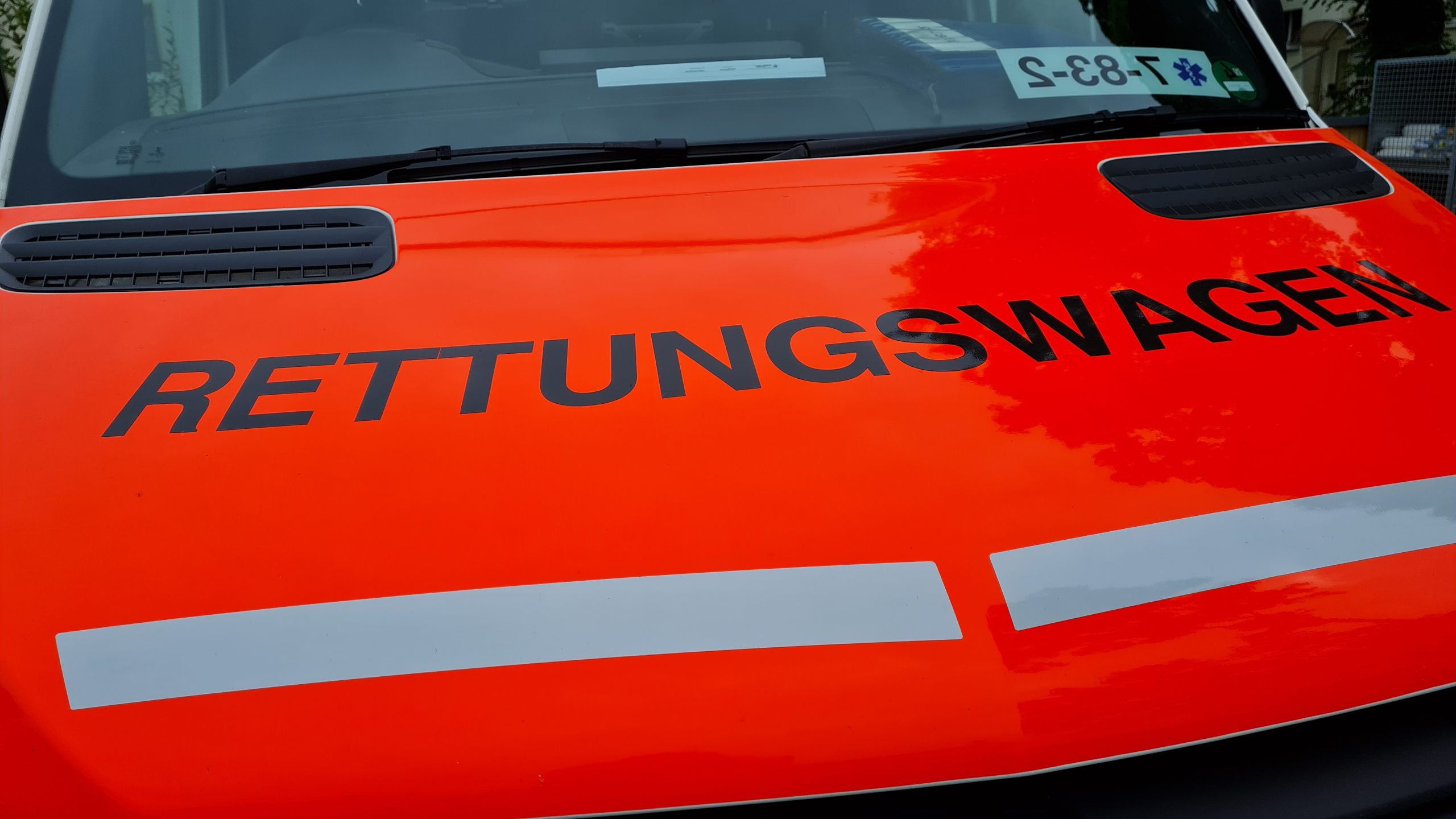 Frau-bei-Angriff-durch-Sch-ferhund-verletzt