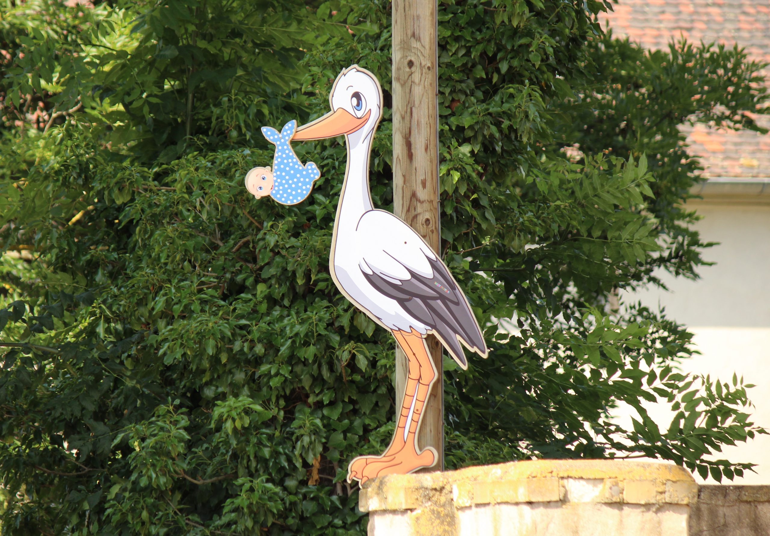 Geburtensch-tzung-2025-12-300-Kinder-lebend-geboren