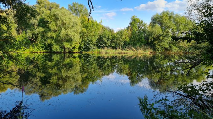 teich03 Teich