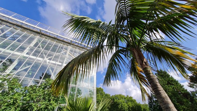 Botanischer Garten Halle