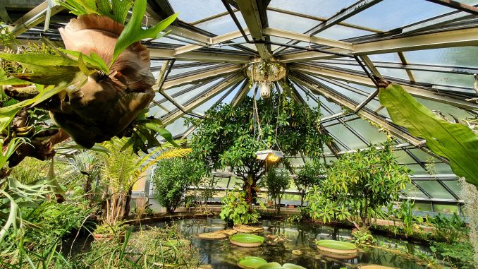 botanischergarten13 Botanischer Garten