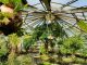 Botanischer Garten
