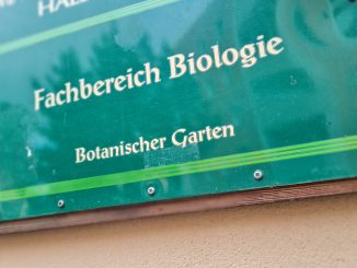 Botanischer Garten