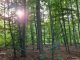 Natur