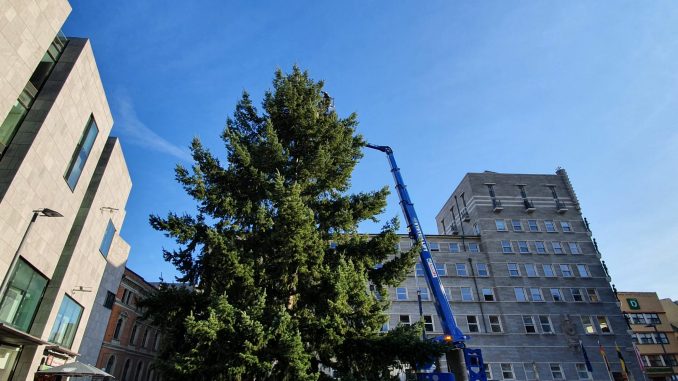 Weihnachtsbaum Marktplatz Halle