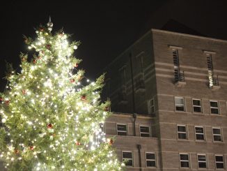 Weihnachtsmarkt Weihnachten Rathaus