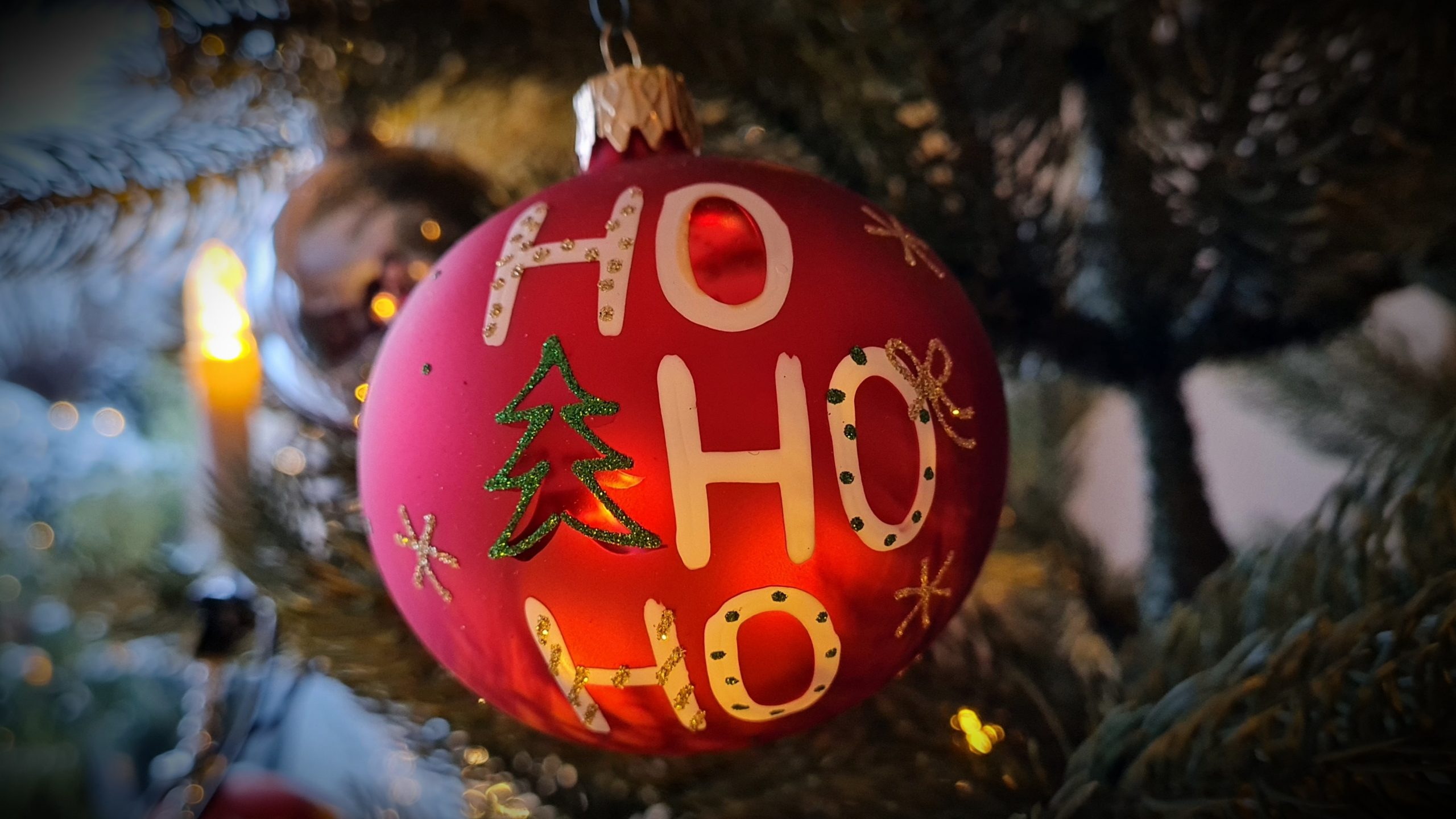 -ber-20-000-Weihnachtsb-ume-wurde-im-Jahr-2024-nach-Sachsen-Anhalt-importiert