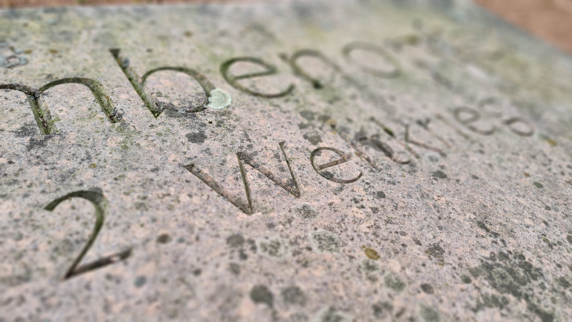 Neue-Website-zu-Kriegsgr-bern-des-Zweiten-Weltkrieges-in-Sachsen-Anhalt