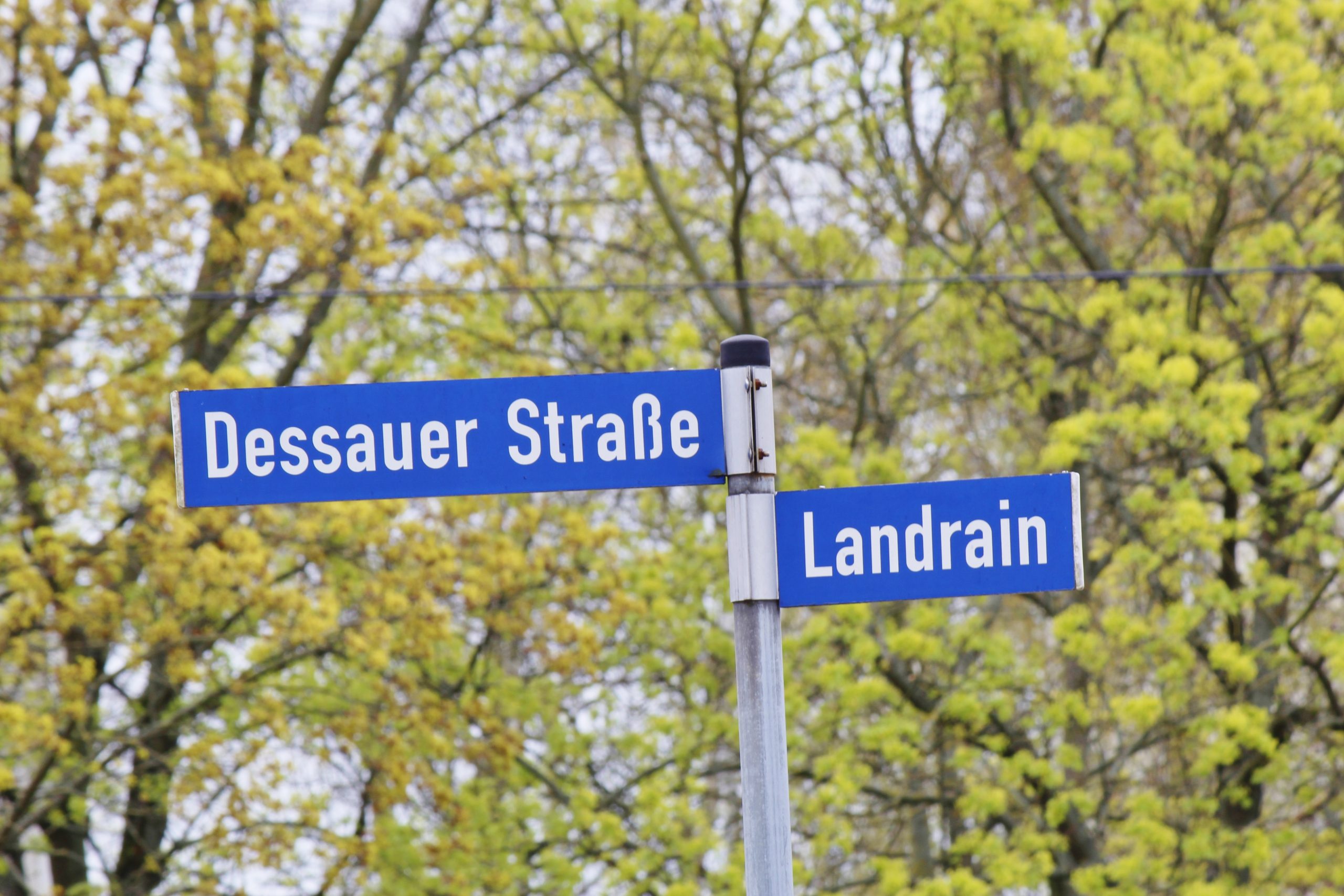 Dessauer-Stra-e-Neue-Verkehrsf-hrung-f-r-Kraftfahrzeuge