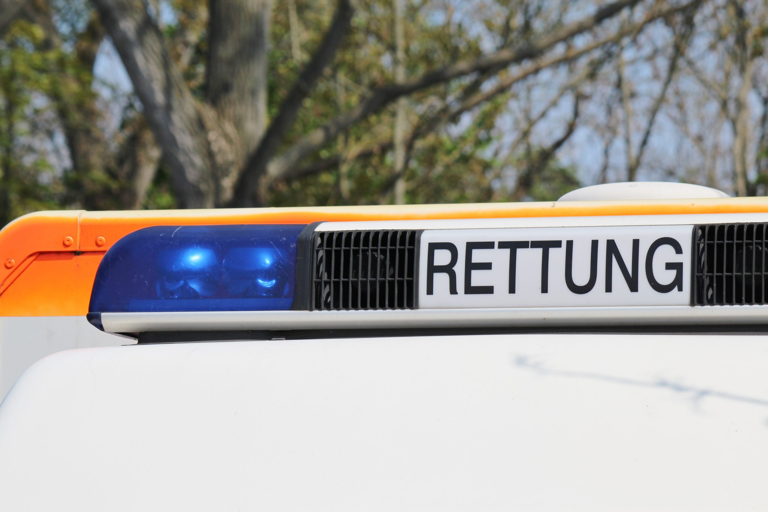 Radfahrer-kollidiert-auf-der-Hafenbahntrasse-mit-Reh