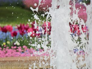 Springbrunnen Vogelweide