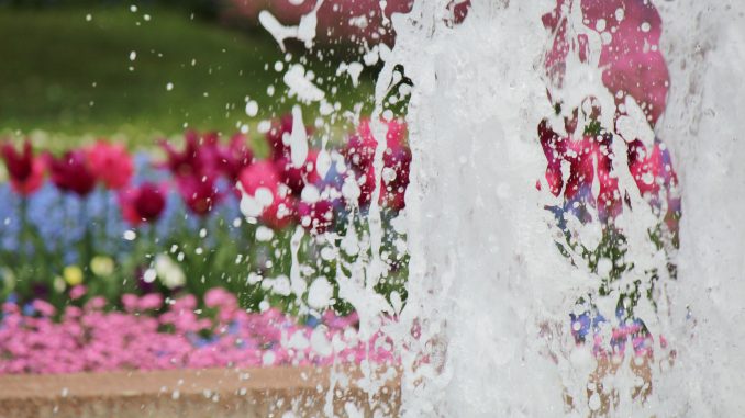 Springbrunnen Vogelweide