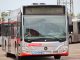 Bus Havag