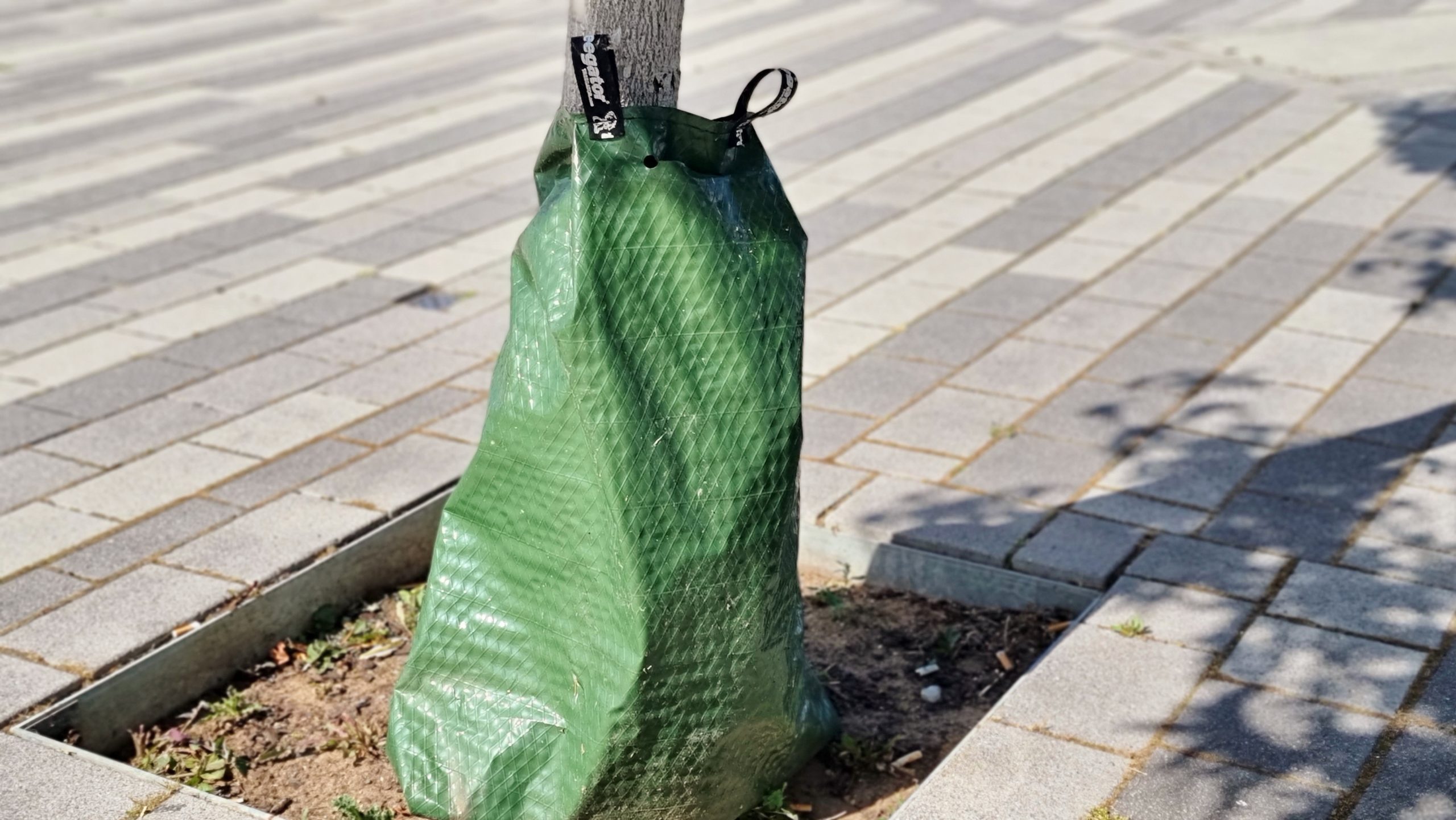 Willingmann-will-Sachsen-Anhalt-st-rker-gegen-Folgen-des-Klimawandels-wappnen