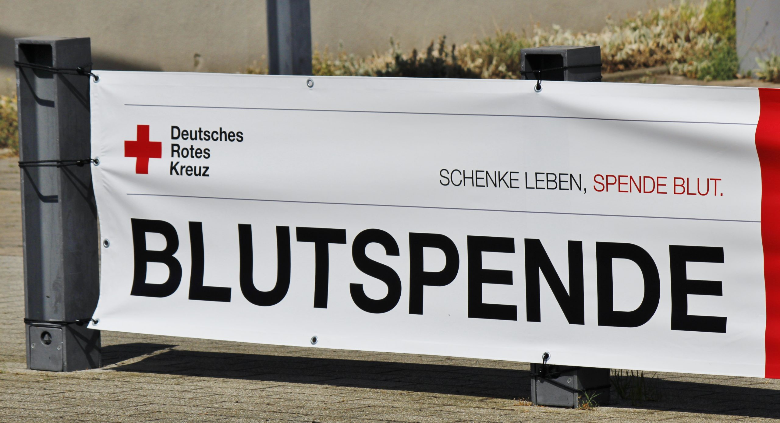 DRK-ruft-zur-Blutspende-im-Dezember-auf