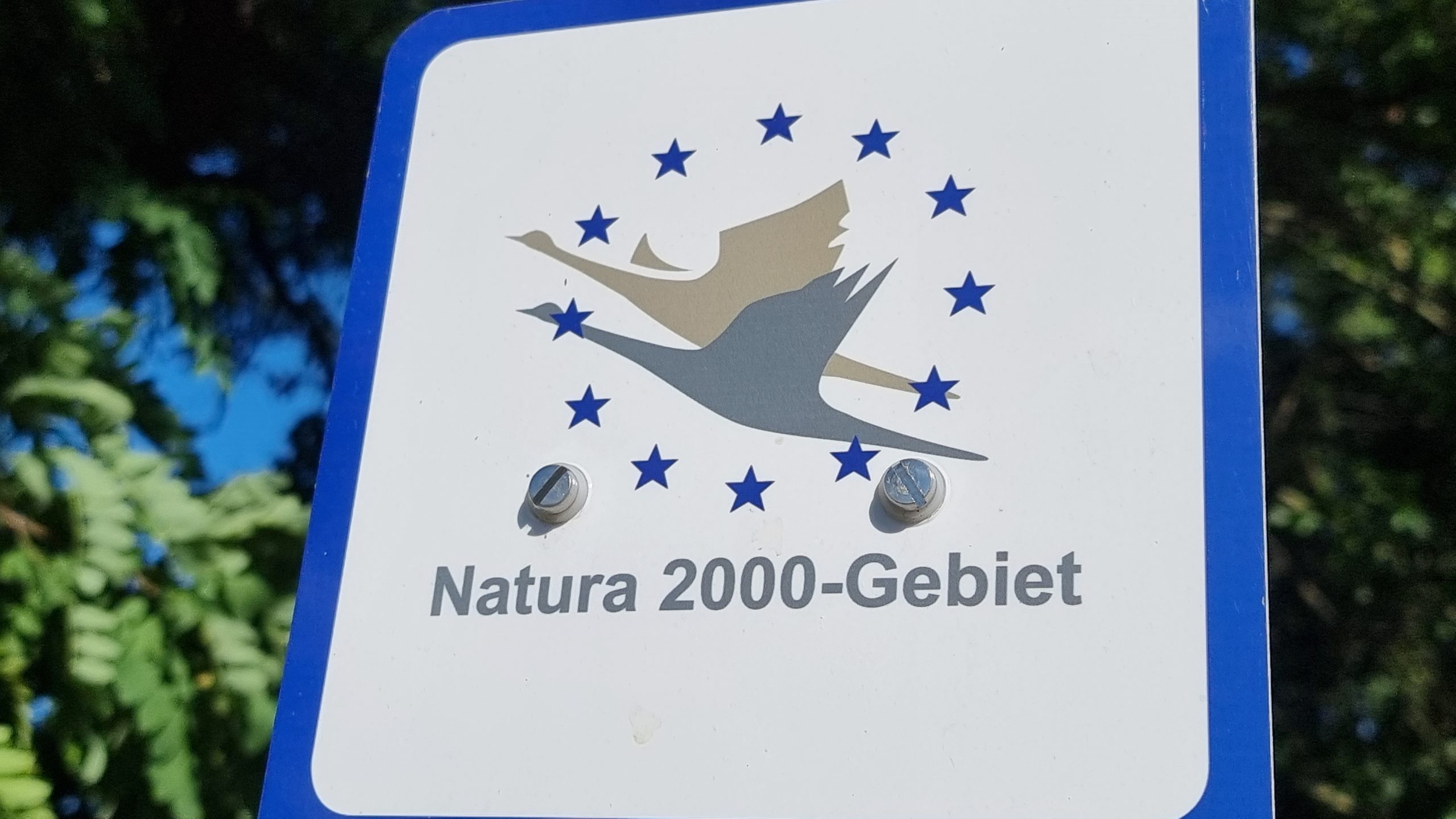 Stadt-erh-lt-F-rdermittel-f-r-Natura-2000-Informationstafeln
