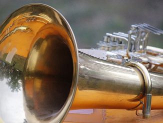 Horn Blechblasinstrument