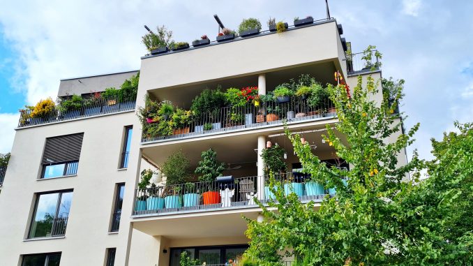 Wohnhaus Bepflanzung Klima