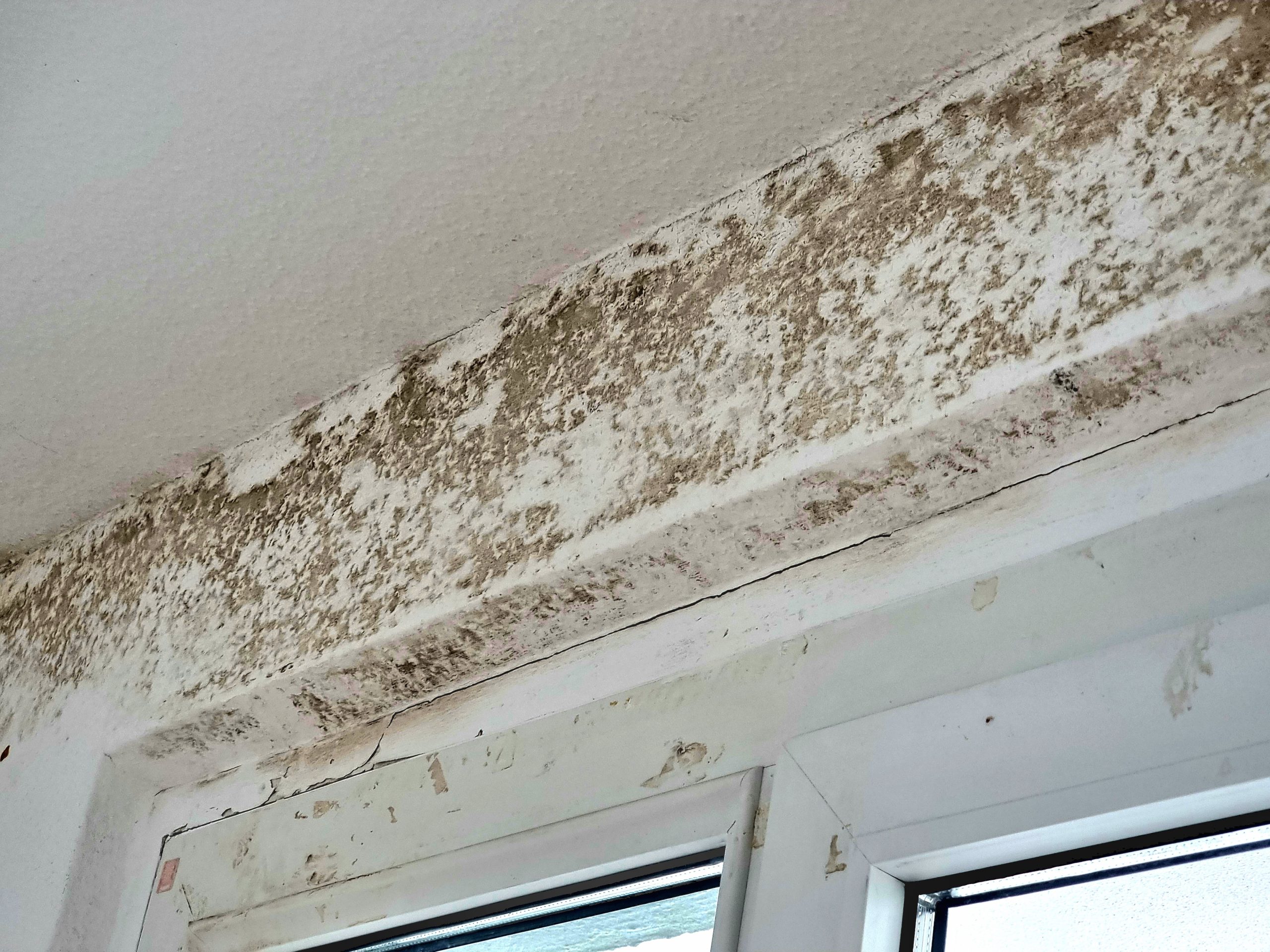 Ratgeber-der-Verbraucherzentrale-informiert-zum-Thema-Feuchtigkeit-und-Schimmelbildung-