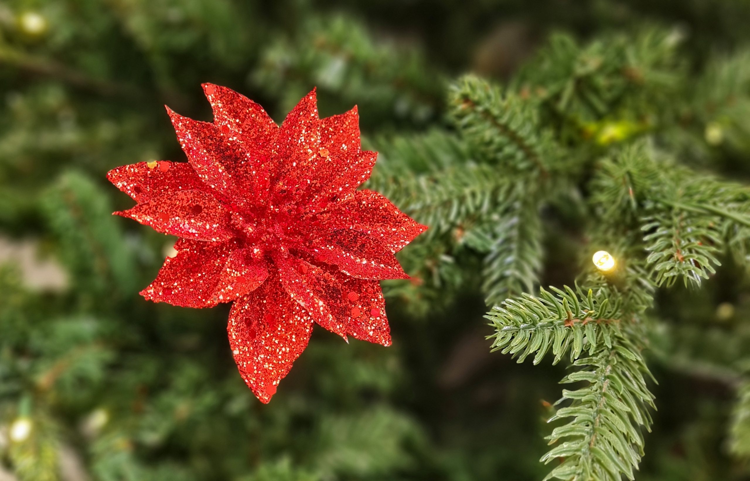 3-B-schdorfer-Weihnachtsmarkt