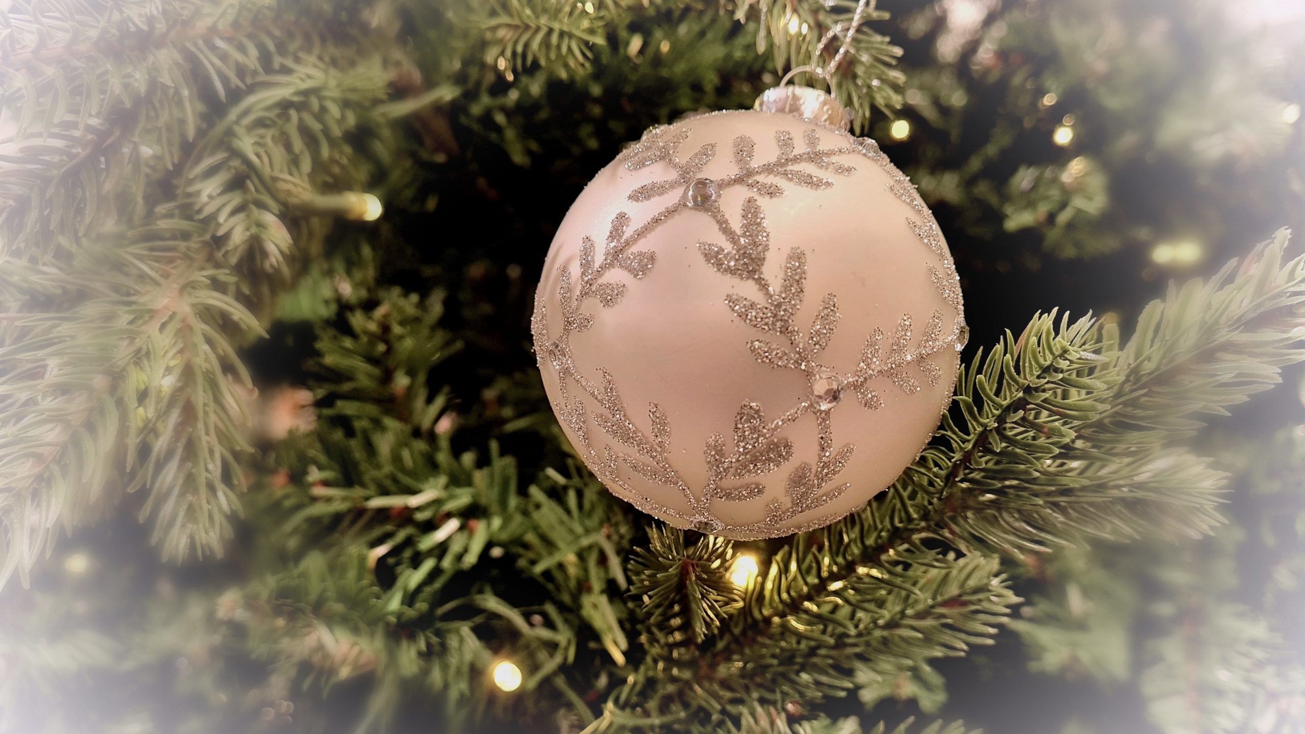 Benefiz-Weihnachtskonzert-des-Landespolizeiorchesters-in-der-Ulrichskirche