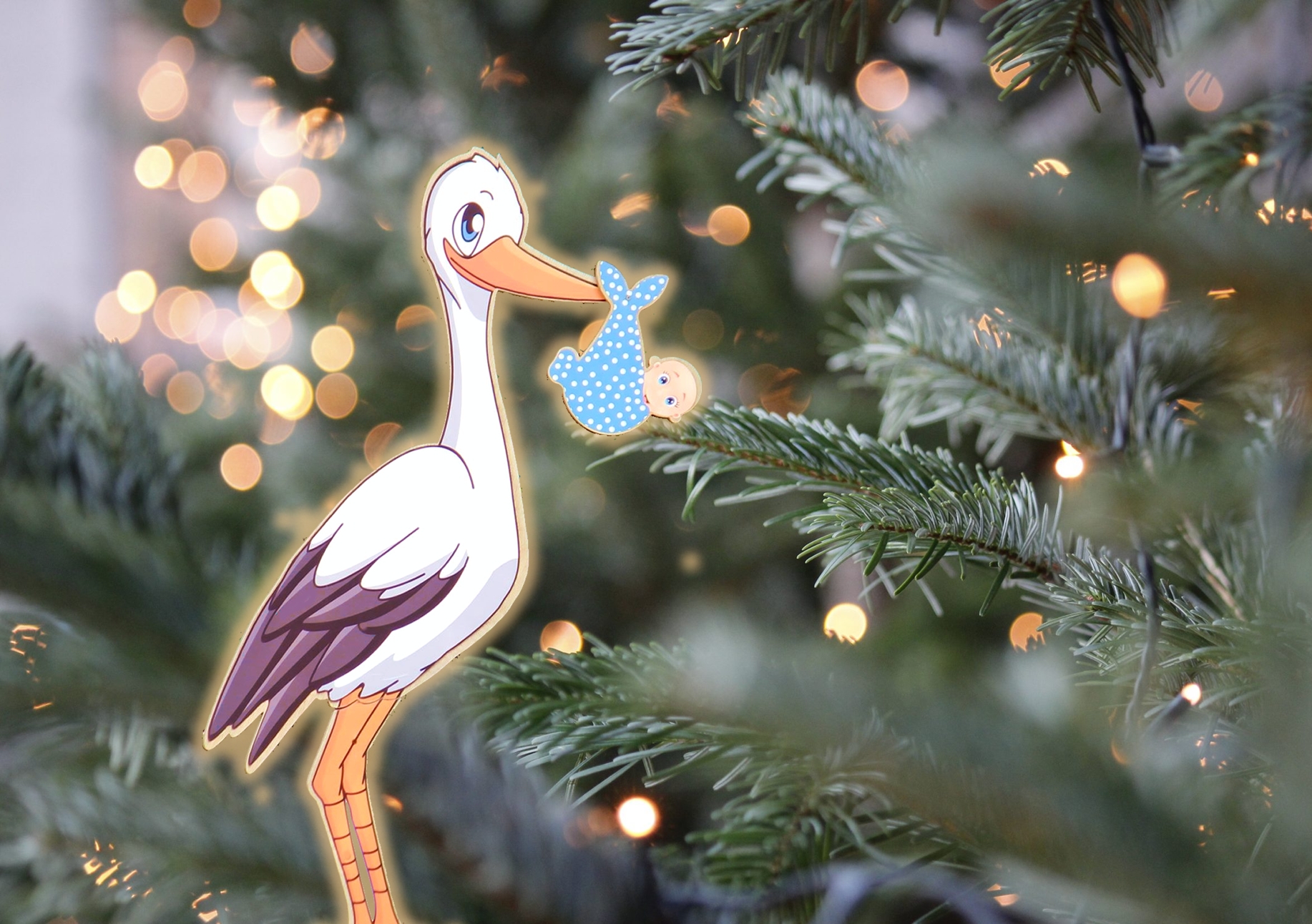 Heiligabend-2024-wurden-in-Sachsen-Anhalt-24-Kinder-geboren