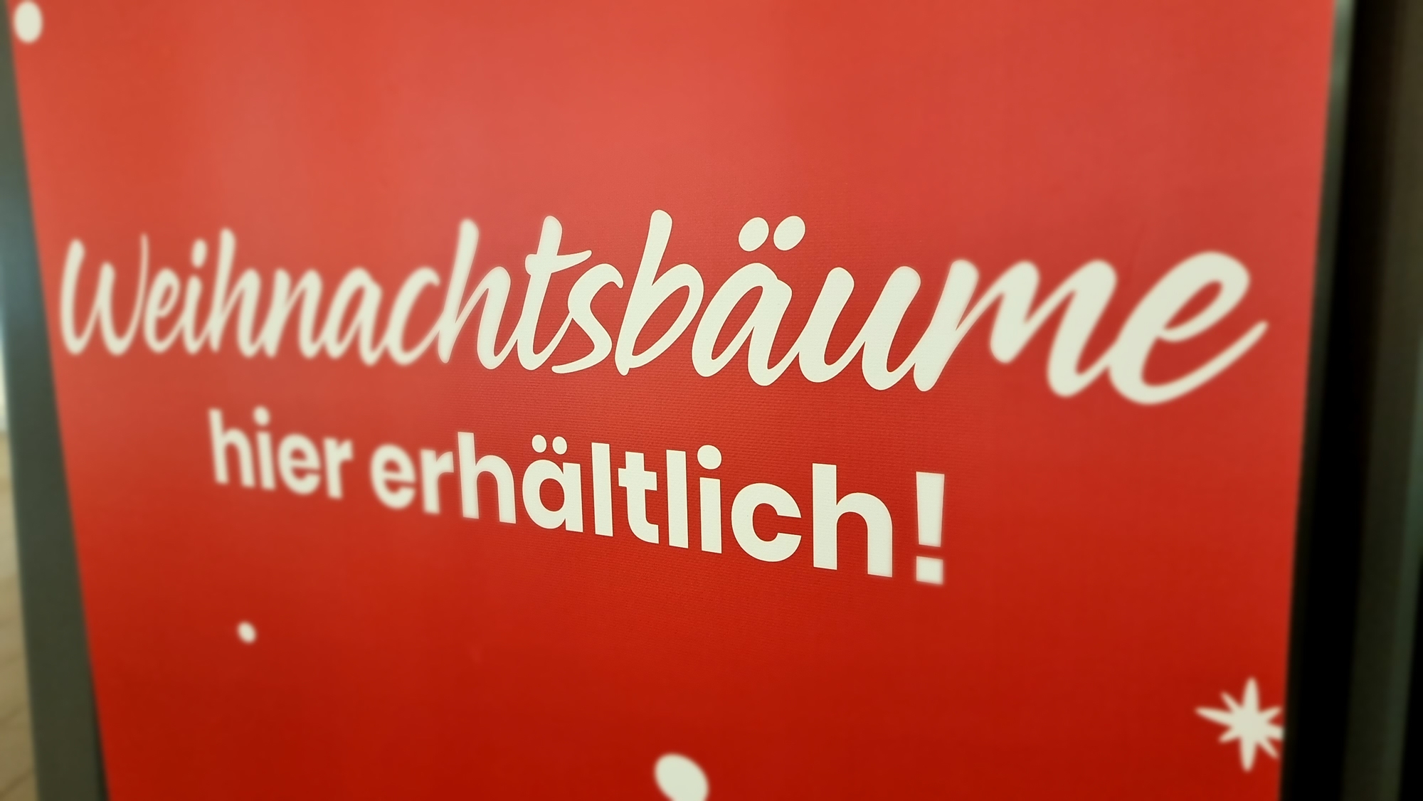 DEKRA-Tipps-f-r-sichere-Fahrt-mit-dem-Weihnachtsbaum