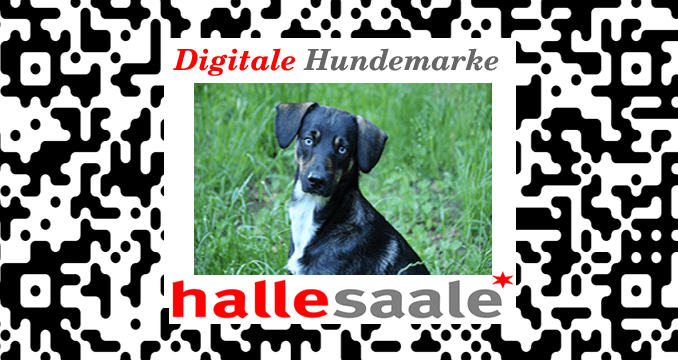 Digitale Hundemarke