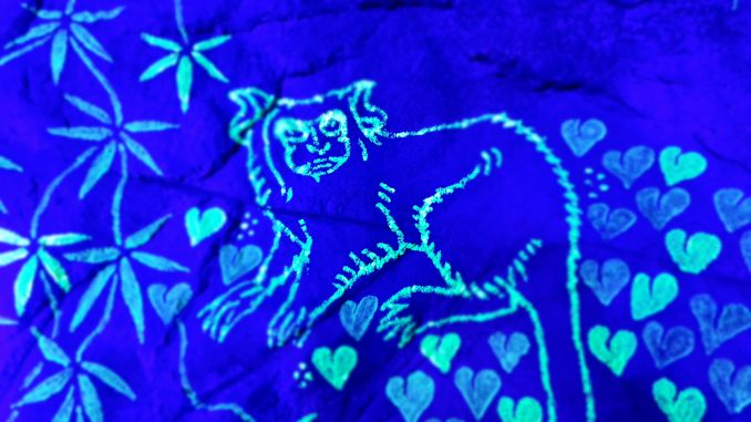 Magisches Tropenleuchten Zoo Leipzig