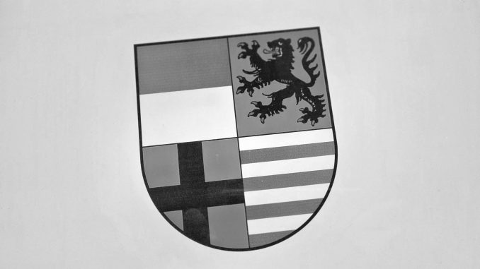 Saalekreis Wappen