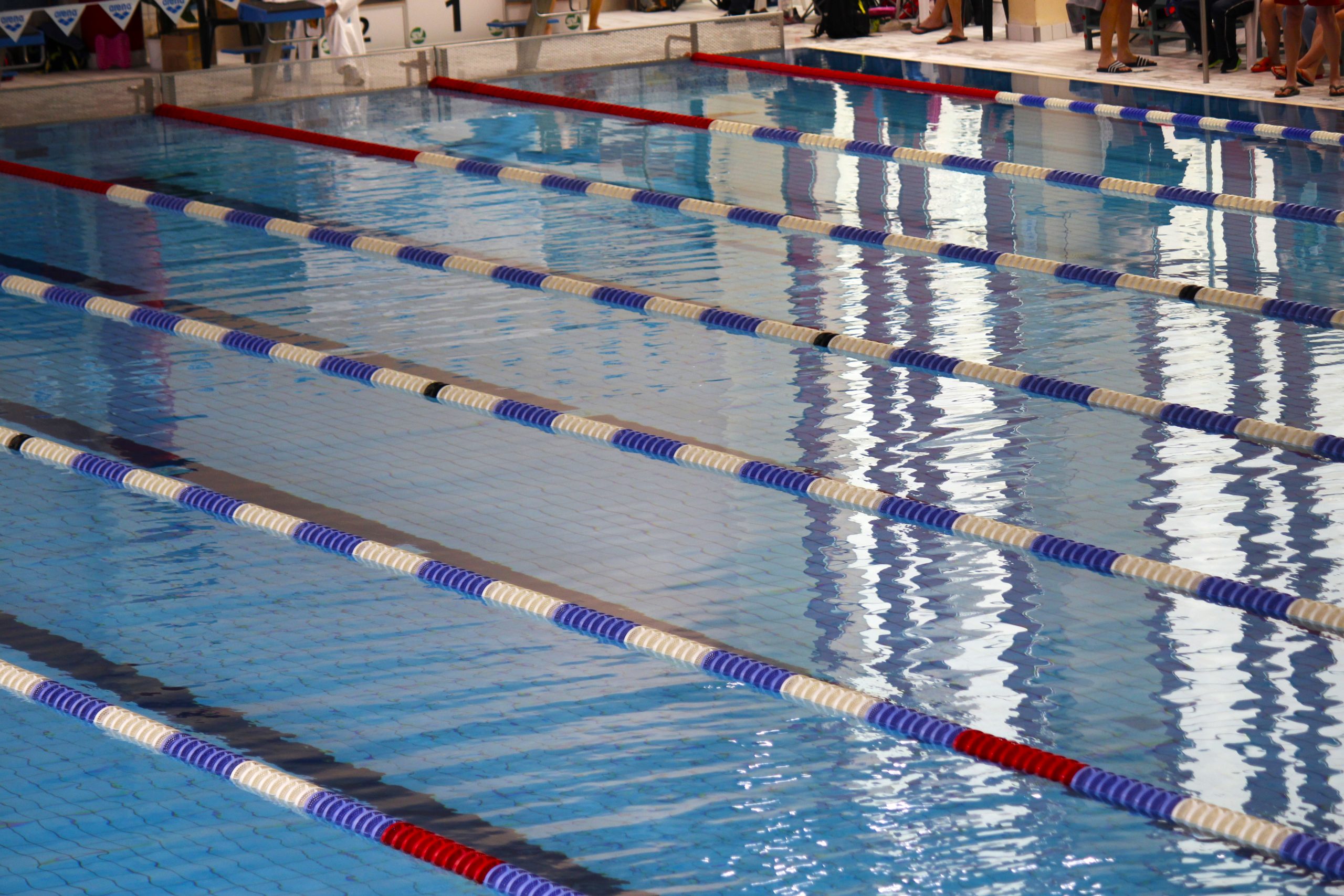 Schwimmen-in-den-Weihnachtsferien-und-Seepferdchen-Schwimmkurs-im-Januar