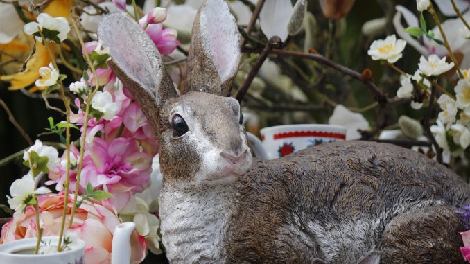Ostern Osterhase
