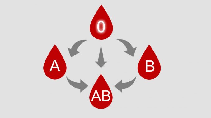 Blutgruppen