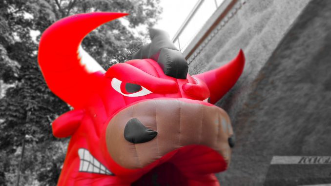 saalebulls12 Saale Bulls