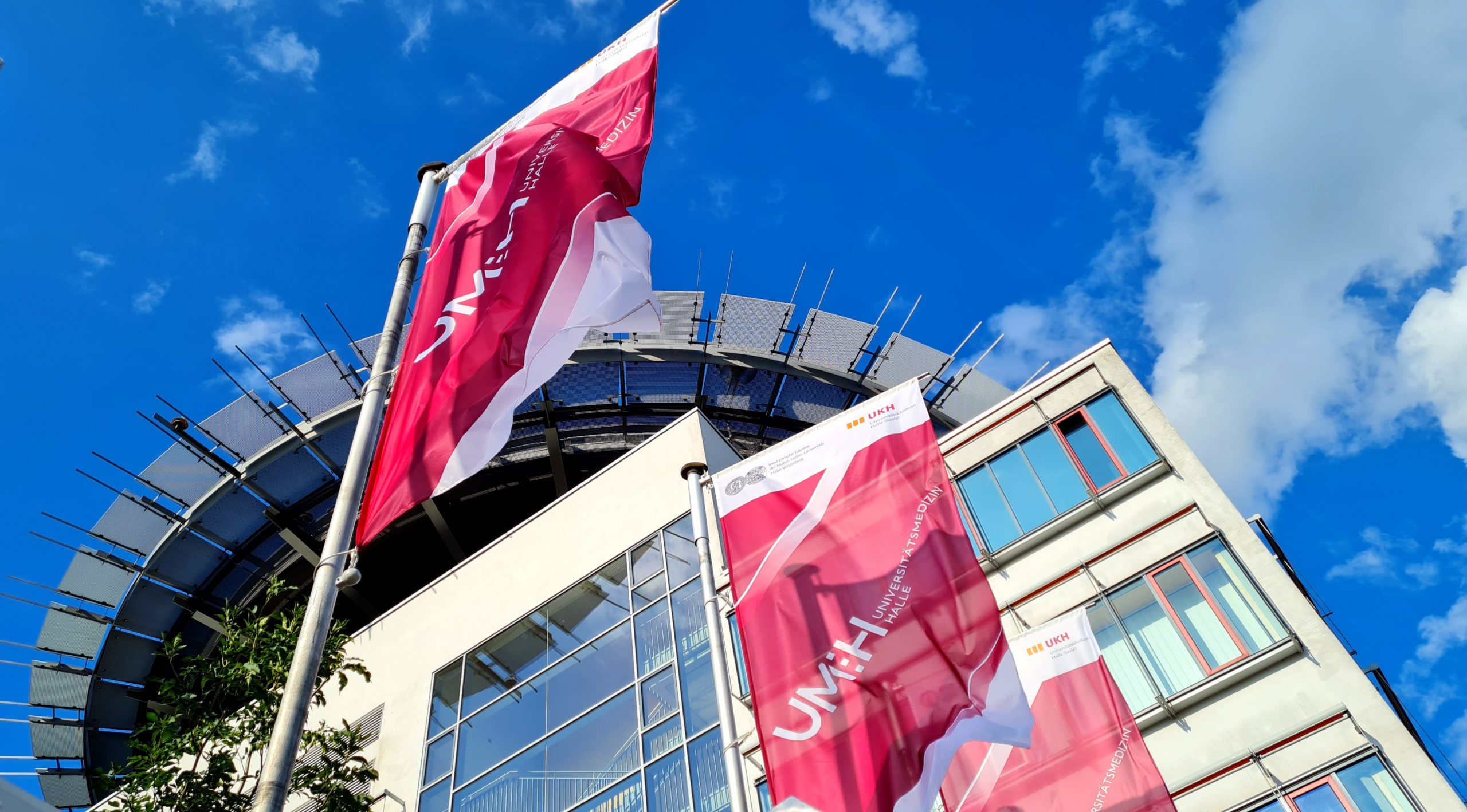 Psychische-Gesundheit-von-Studierenden-in-Deutschland-Neuer-Forschungsverbund-untersucht-Risiken-und-st-rkt-Resilienz