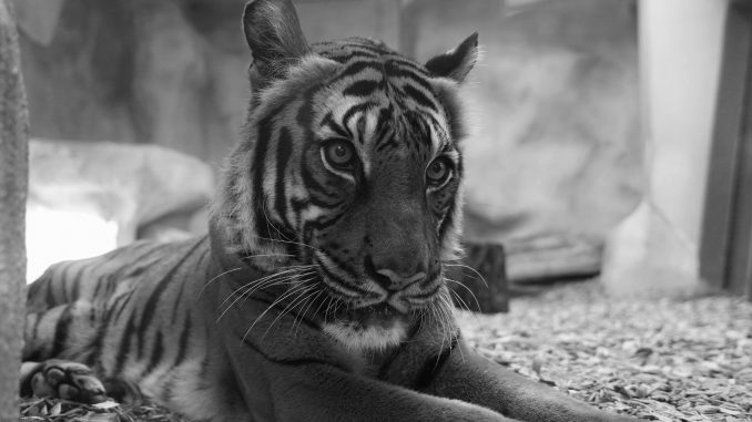 20231009_zoo