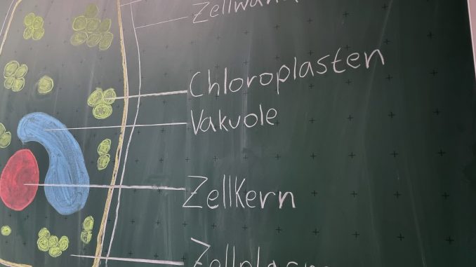 Biologie Schule Tafel