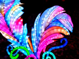 Magische Lichterwelten