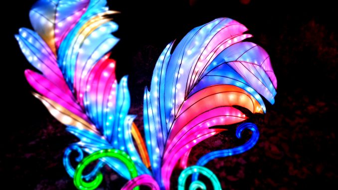 Magische Lichterwelten