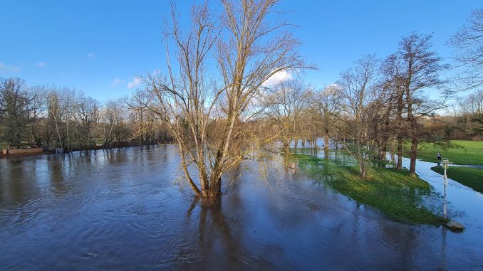 saale_hochwasser Hochwasser