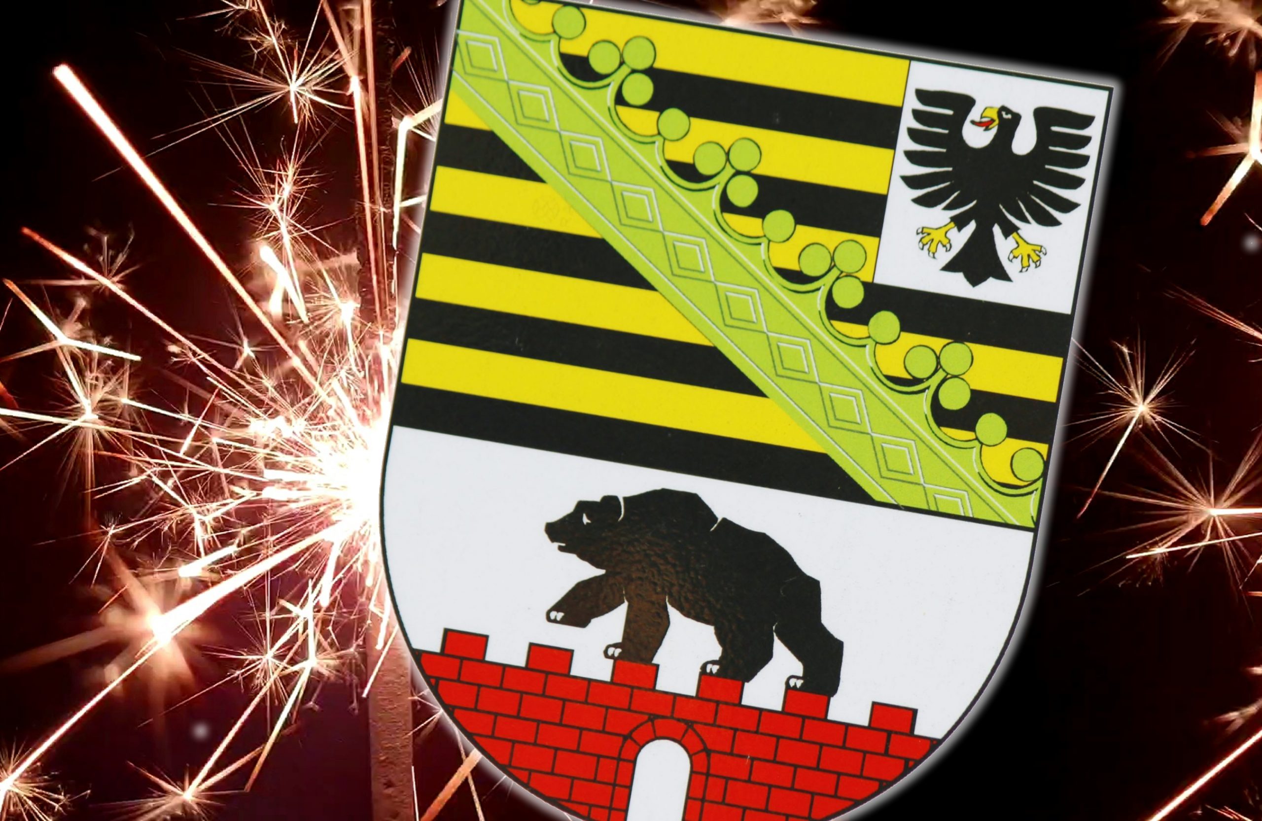 Haseloff-ruft-in-Neujahrsansprache-zu-gesellschaftlichem-Zusammenhalt-und-zur-Besinnung-auf-gemeinsame-Werte-auf