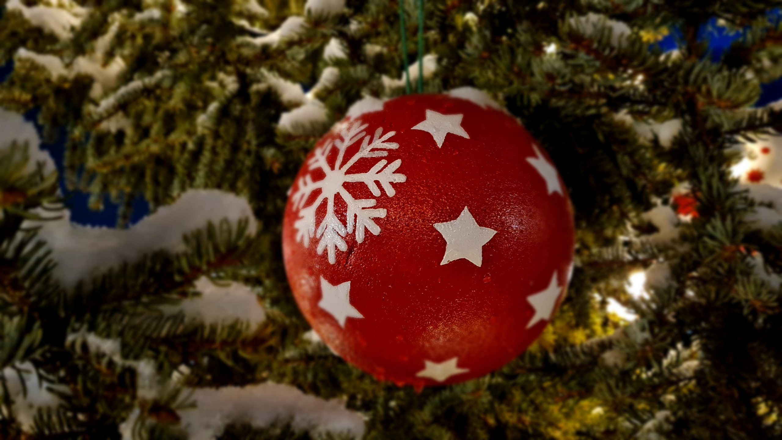 Lebenstraum-e-V-l-dt-zum-Weihnachtsgarten-in-Ammendorf-ein